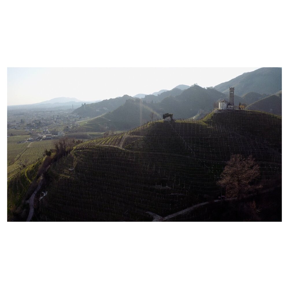 The territory: biodiversity and uniqueness, between Venice and the Dolomites 1 ILVE RA Stories 05 Territorio.00 02 30 10.Immagine009
