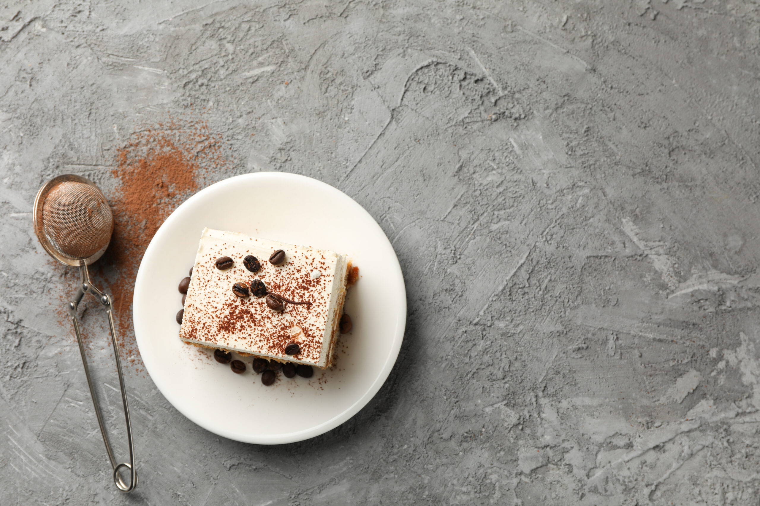 composition with plate of tasty tiramisu on gray b 2025 03 25 06 05 35 utc scaled